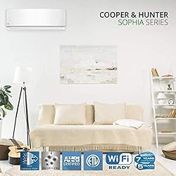 Cooper & Hunter 36,000 BTU Mini Split AC/Heating