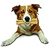 Nylabone Customer Favorites Power Chew Toy Bundle for Dogs, Indestructible Dog Toys for Aggressive Chewers, Pack of 3 Dog Toys, Flavor Medley, Large Dogs - Up to 50 lbs, 3 Pack