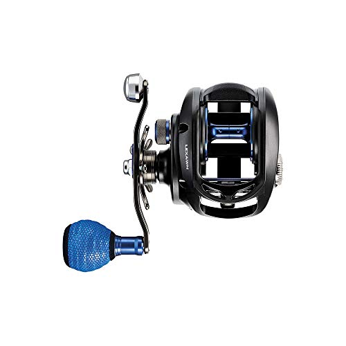 Daiwa LEXA-WN300HSL-P Lexa Type WN Casting Reel, 300, 7.1: Gear Ratio, 32.40