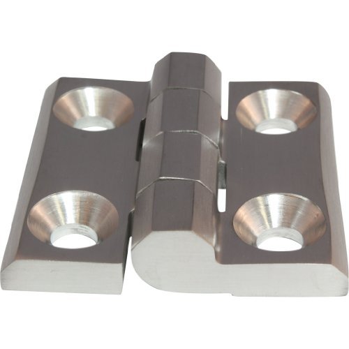 Stainless Steel Door Hinge, Screw-On Hinge, Stainless Steel 50 x 50 mm 270° AISI 316