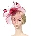 Urban CoCo Women's Elegant Flower Feather and Veil Fascinator Cocktail Party Hair Clip Hat (Wine red)