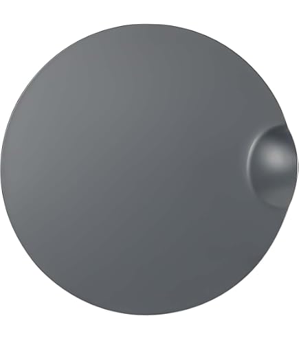 Amazon.com: YZQPNB Fuel Gas Door(Primed) FL3Z-99405A26-BPTM