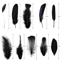 FeelfunFeather 300 pcs Black Craft Feathers- 10