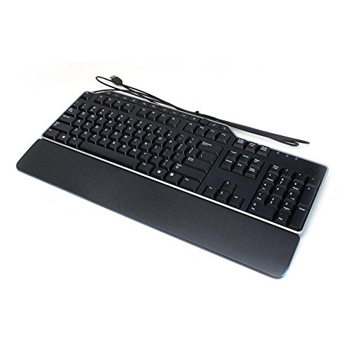 Genuine 1RW52 KB522 X20M8 7VHY1 Dell Business Multimedia USB Wired 104-Key 14-Hot Keys 2 USB Hub Keyboard Compatible Part Numbers: 1RW52, KB522, X20M8, 7VHY1