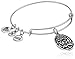 Alex and Ani Because I love you, Sister II Expandable Rafaelian Silver-Tone Bangle Bracelet