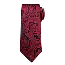 DiBanGu Silk Paisley Ties for Men Woven Necktie and