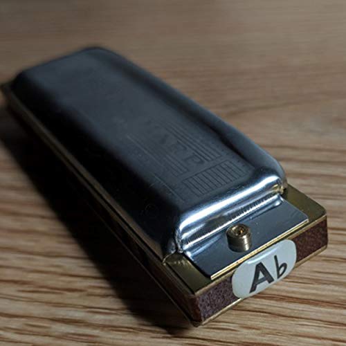 Harmonica Key Labels 33 count - Glow in the Dark - Thumbnail 3