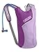 CamelBak Kid's 2016 Skeeter Hydration Pack, Sheer Lilac/Purple Cactus Flower
