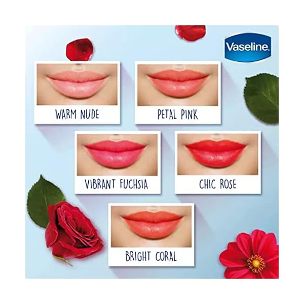 Vaseline Prime & Shine 2-in-1 Lip Balm and Coloured Gloss - Warm Nude - Perfect for Men, Women and Teens - Damage Skin…