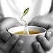 Tea Forte SKIN-SMART Petite Presentation Box with 10 Handcrafted Pyramid Tea Infusers - Green Tea, Herbal Tea, White Tea