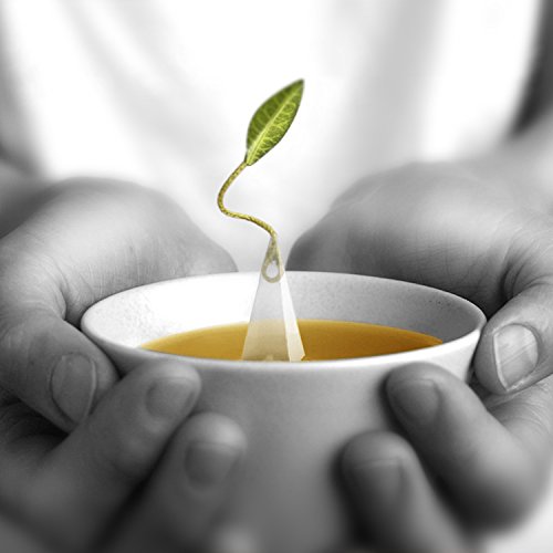 Tea Forte Jasmine Green Event Box Bulk Pack, 48 Handcrafted Green Tea