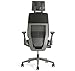 Steelcase Gesture Office Desk Chair with Headrest Plus Lumbar Support Cogent Connect Licorice Fabric Standard Black Frame
