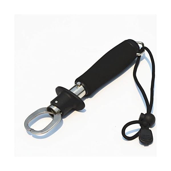 IFLYING-Portable-Stainless-Steel-Fish-Lip-Gripper-with-Weight-Scale-15KG-or-30lbs