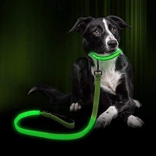 light up dog lead