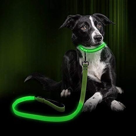 Light up dog lead Clearance