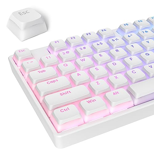 Owpkeenthy PBT Pudding Keycap