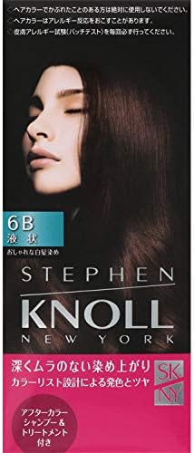 Stephen Knoll スティーブン ノル 医薬部外品 絶品 カラークチュール 1回分 6b 液状ヘアカラー ミディアムブラウン 白髪染め