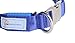 Pet Industries Metal Buckle LED Dog Collar, Available in 7 Colors & 4 Sizes (Large [18.5-23.5