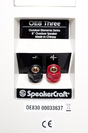 speakercraft oe8 three