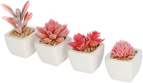 Taiyue Mini Red Flocked Artificial Succulent Plants Potted in Cube-Shape White Ceramic Planters,Set of 4