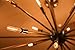 Century Light - 1W LED Filament Long Tubular Night Light Bulb, 2200K Warm White 100LM , Candelabra (E12) Base Light Bulb,T6 ( T20 ) Short Tube Shape ,10 Watt Equivalent , Dimmable , UL-Listed (1-PACK)