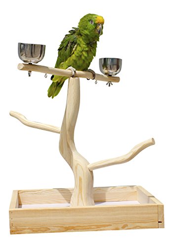 Birds LOVE Tabletop T-Stand Deluxe Play Gym Bird Stand for Cockatiels Conures African Greys Amazons-Includes 2 top perches Easy Assembly Easy to Clean this stand