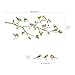 DECOWALL DWL-1804N Garden Birds on Tree Branch Kids Wall Stickers Wall Decals Peel and Stick Removable Wall Stickers for Kids Nursery Bedroom Living Room décor