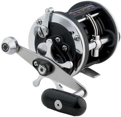 daiwa sealine