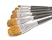 Red Sable Filbert Paint Brushes - Set of 6 Acrylic, Watercolor, Mixed Media or Oil Paint Brushes. Long Handle Professional Art Supplies for Canvas Painting
