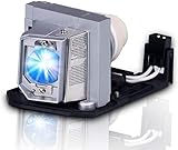 SunnyPro BL-FU240A Replacement Projector Lamp for