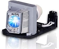 SunnyPro BL-FU240A Replacement Projector Lamp for