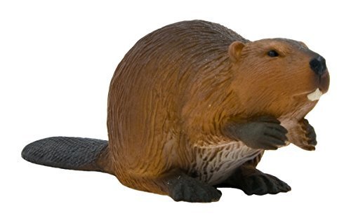 A Beaver by Mojo by Mojo Fun - Woodland / Countryside