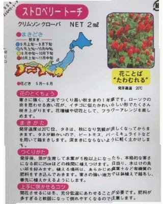 Amazon ストロベリートーチ 954 花