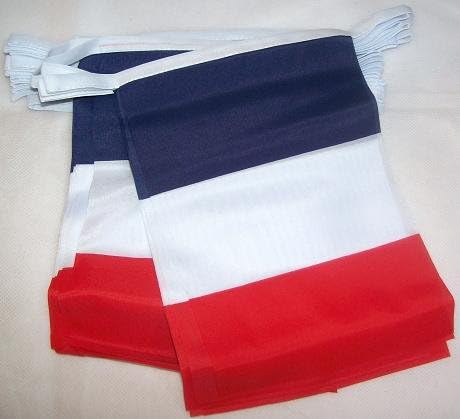 AZ FLAG France Bunting Flag, 20 Ft Garland with 20 Small French Flags 8'' x 6'', 100% Polyester String Pennant, 6 meters