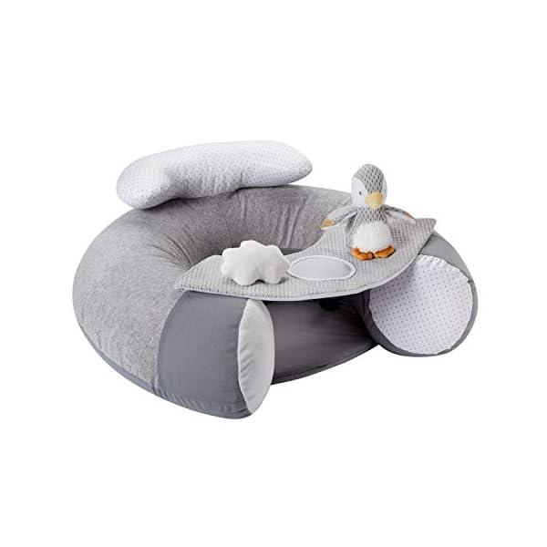 Nuby Penguin Sit-Me-Up Baby Seat. Inflatable Sit & Play Floor Seat With Tray And Baby Toys, 1 Count (Pack of 1)
