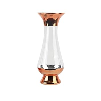 Amazon Com Jjxzm Large Glass Flowers Vase Clear Glass Tall Floor