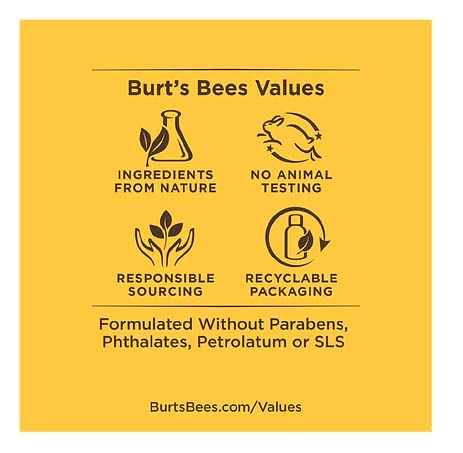 BURT’S BEES NATURALLY CLEAN HAND SOAP