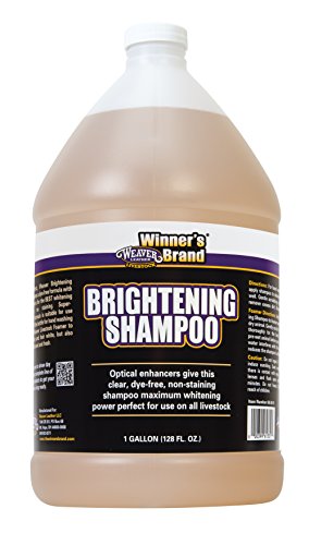Weaver Leather Livestock Brightening Shampoo