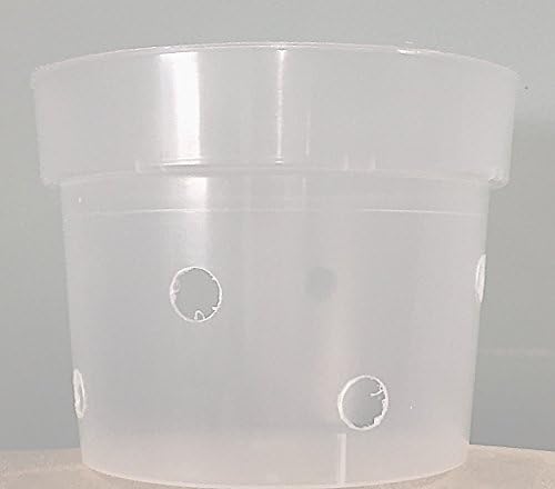 Clear Orchid Pots (5.5 inch) - Quantity 2