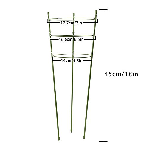 Alapaste Plant Support Ring Garden Trellis Plant Support Cage with 3 Adjustable Rings for Potted Climbing Plants Vegtables Flowers - Thumbnail 5
