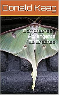 Livro Compreensão Abrangente De Creches
