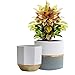 White Ceramic Flower Pot Garden Planters 6.5 Inch Pack 2 Indoor, Plant Containers with Gold and Grey Detailing primary