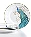 222 Fifth Peacock Garden Salad Plates, Set of 4