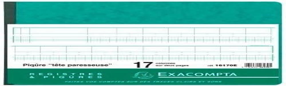 Exacompta - Ref. 16170E - 1 Lazy head stitch 17 columns on 2 pages - 31 lines - 80 foliated pages - horizontal format 270 x 320 mm - 4 random colours, yellow, blue, red, green