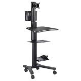AW Rolling Desktop PC Mobile Cart 25x22x69" Monitor Mount Printer Deck Computer Desk Workstation Black