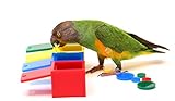 Parrot Wizard Birdie Colored Boxes Trick