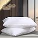 NP Goose Down Alternative Pillows （2 Pack,Queen Soft） 100% Egyptian Cotton with Microfiber Filling Sleep Pillow,Washable