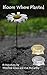 Bloom Where Planted by Winifred Grace, Ava McCarthy