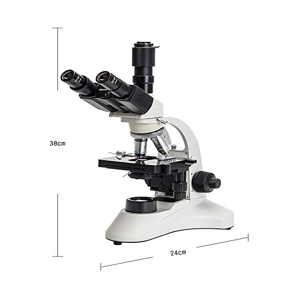 QuRong Professionelles Mikroskop mit optischem Zoom Trinokularmikroskop 1600X für die Reparatur von Leiterplatten… – Bild 5