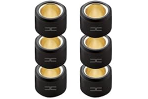CYCLINGCOLORS (6x) VARIATOR ROLLER WEIGHT 16x13MM 4.0G TO 9.0G ROLLER MOTORCYCLE MOTORBIKE 50CC PGT PGO (4.0g)